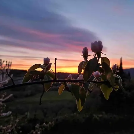 Villa Colgiglione, Un Borgo Nella Umbria