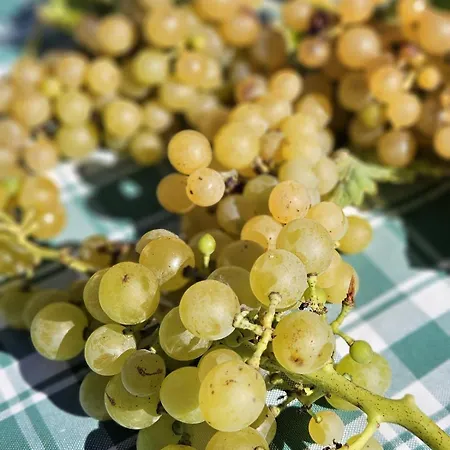 Colgiglione, Un Borgo Nella Umbria Villa